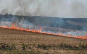 Seine-Maritime : les sapeurs-pompiers mobilisés contre un incendie de culture à Angiens