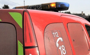 Seine-Maritime : tombé dans un puisard, à Biville-la-Baignarde, le cheval est remonté par les sapeurs-pompiers