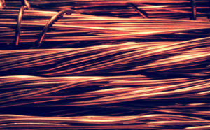 Seine-Maritime : des voleurs de cuivre mis en fuite par un agent de sécurité à Petit-Couronne