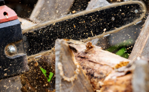 Un quinquagénaire meurt accidentellement en coupant du bois près d’Envermeu 