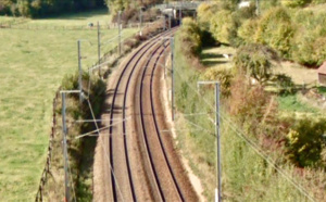 Trafic perturbé sur la ligne Paris - Caen à cause d’un arbre tombé sur une caténaire près de Bernay 