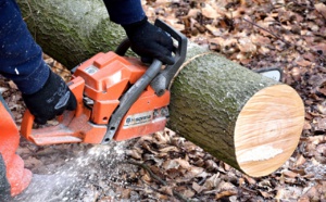 Eure : la toiture et le pignon d'une maison endommagés par la chute d'un arbre à Rosay-sur-Lieure