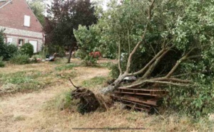 Tempête Ciara : les pompiers sont sortis près de 300 fois en Seine-Maritime et dans l’Eure