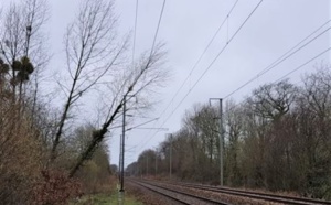 Tempête Dennis en Normandie : trains perturbés, arbres arrachés, trois blessés en Seine-Maritime  