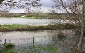 Une vingtaine de communes de l’Eure menacées par un risque de crue de la Seine