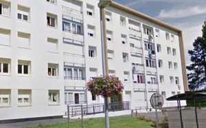 Seine-Maritime : un chien sauvé d’une mort certaine dans un incendie à Bolbec 