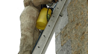 Yvelines : en retirant un nid de guêpes, il tombe de l'échelle et se blesse grièvement à Sartrouville 