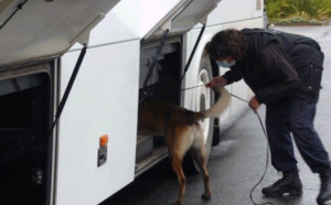 Seine-Maritime : de l'héroïne et 23 000€ saisis chez le fournisseur d'un chauffeur de bus scolaire