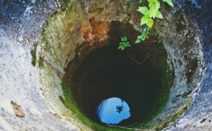 Eure : un chaton meurt noyé dans un puits à Champigny-la-Futelaie 