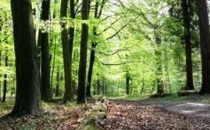 Les assassins présumés d'Alexandre sur les lieux du crime en forêt de Lyons