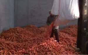 63 kg d'amphétamines dans le chargement de carottes !