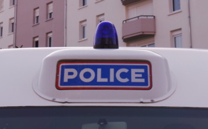 Délit de fuite, défaut de permis, ivre au volant... : l'automobiliste est retrouvé derrière un buisson !