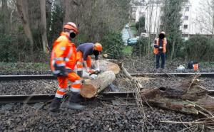 Yvelines : un arbre s’abat sur les voies à Villennes-sur-Seine, le trafic des trains interrompu 