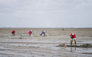 Grandes marées en Normandie : prudence sur le littoral du 28 au 31 mars