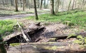 Assassinat d'Alexandre : beaucoup de questions restent en suspens à quelques heures du verdict 