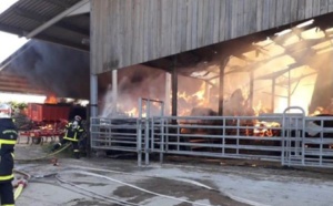 Seine-Maritime : un bâtiment agricole embrasé à l’arrivée des sapeurs-pompiers à Ocqueville 