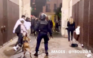 Nuit agitée à Versailles (Yvelines) : deux cents fêtards délogés par les forces de l'ordre