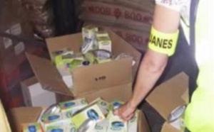 20 000 prises tue-moustiques non conformes saisies sur le port du Havre