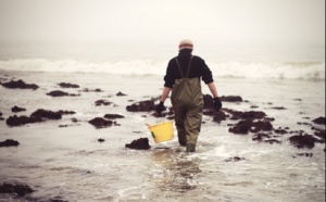 Grandes marées : appel à la prudence sur le littoral de la Manche