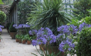 « Le jardin préféré des Français 2013 » : les jardins Agapanthe en compétition sur France 2