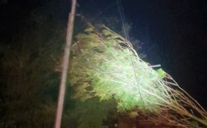 Toitures envolées, trafic SNCF interrompu, arbres sur les routes : la tempête Aurore a frappé la Seine-Maritime