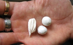 Autopsie : 25 boulettes de poudre suspecte découvertes dans le corps d'un mort