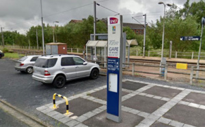 Un train heurte un sanglier près de Bolbec : des retards attendus sur la ligne Rouen - Le Havre 