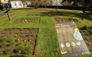 Au Havre, bientôt un outil de prévention des affections allergiques