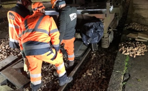 SNCF : la circulation des trains fortement perturbée entre Rouen et Le Havre