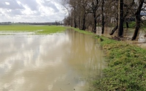 Crue de la Seine : risques de débordements ce week-end dans l'agglomération de Rouen