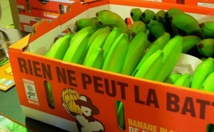 Saisie en Ile de France : 64 kg de cocaïne dissimulés dans des cartons de bananes