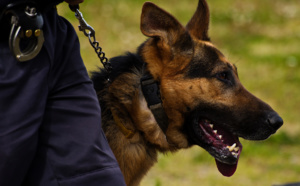 Yvelines. Disparition inquiétante : un enfant de 12 ans, dépressif, retrouvé par la police à Viroflay 