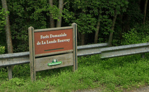 Disparition inquiétante : Louis, 18 ans, retrouvé mort dans la forêt de La Londe, près de Rouen