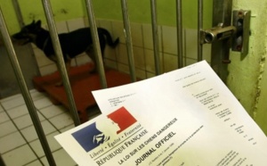 Rouen : le chien du SDF aimait les mollets des policiers... Le maître est en garde à vue, l'animal en fourrière