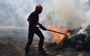 Eure. Départ de feu sur une moissonneuse-batteuse : 191 ha de blé partis en fumée 