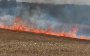 Seine-Maritime : 2 ha de blé sur pied et de chaume brûlés dans le Pays de Caux  