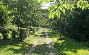 "Rendez-vous aux Jardins" : deux jours pour découvrir le patrimoine végétal et paysager du Havre