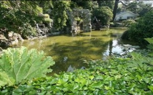 Le Havre : l'état de santé de trois arbres du parc Hauser ausculté par l'Office national des forêts