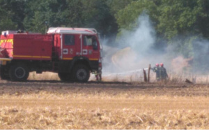 Le Havre : 1 hectare d’herbe et de résineux ravagé par le feu en forêt de Montgeon 