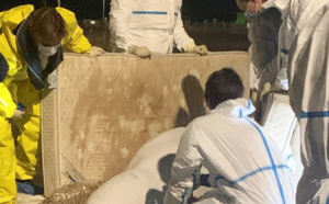 Sorti de la Seine, le béluga accueilli à Ouistreham pour des soins avant d'être relâché à la mer