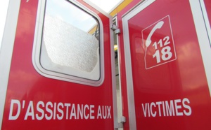 Eure. Elle saute dans la Seine pour tenter de récupérer son chien, tous deux sont indemnes 