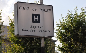 Une adolescente de 14 ans mordue sérieusement par un chien à Sotteville-lès-Rouen