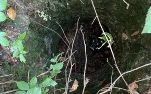 En Seine-Maritime, les sapeurs-pompiers sauvent un chien tombé dans un puits 