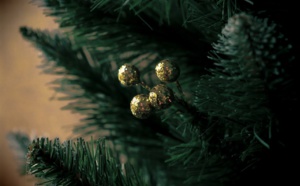 Évreux : où sont les points de collecte des sapins de Noël ?