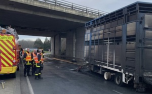 15 bovins tués dans l'incendie d'une bétaillère à La Londe, près de Rouen 