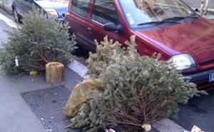 Que faire du sapin de Noël usagé ? Les conseils à suivre si vous habitez l'agglomération du Havre