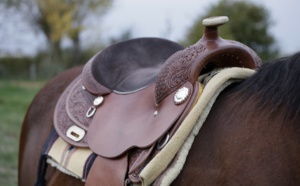 Yvelines. Par vengeance, l’ancien employé dérobe 13 selles dans les écuries de Maisons-Laffitte