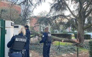 Tempête Ciaran dans l'Eure : 30 000 foyers privés d'électricité et des routes coupées