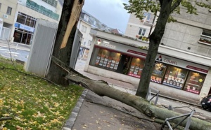 Tempête Ciaran en Seine-Maritime : routes coupées, foyers privés d'électricité, aucune victime à déplorer 
