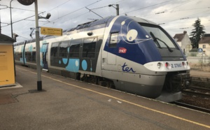 Un homme percuté par un TER entre Serqueux et Rouen : le trafic est interrompu